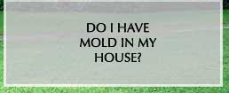 do I have mold in my house link
