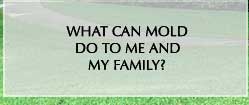 what can mold do to me and my family link